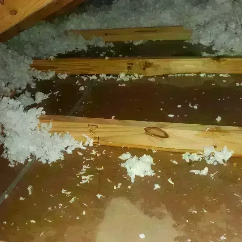 Attic Water Damage in Sandy Springs, GA