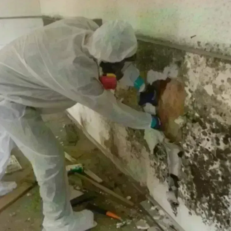 Mold Remediation and Removal in Sandy Springs, GA