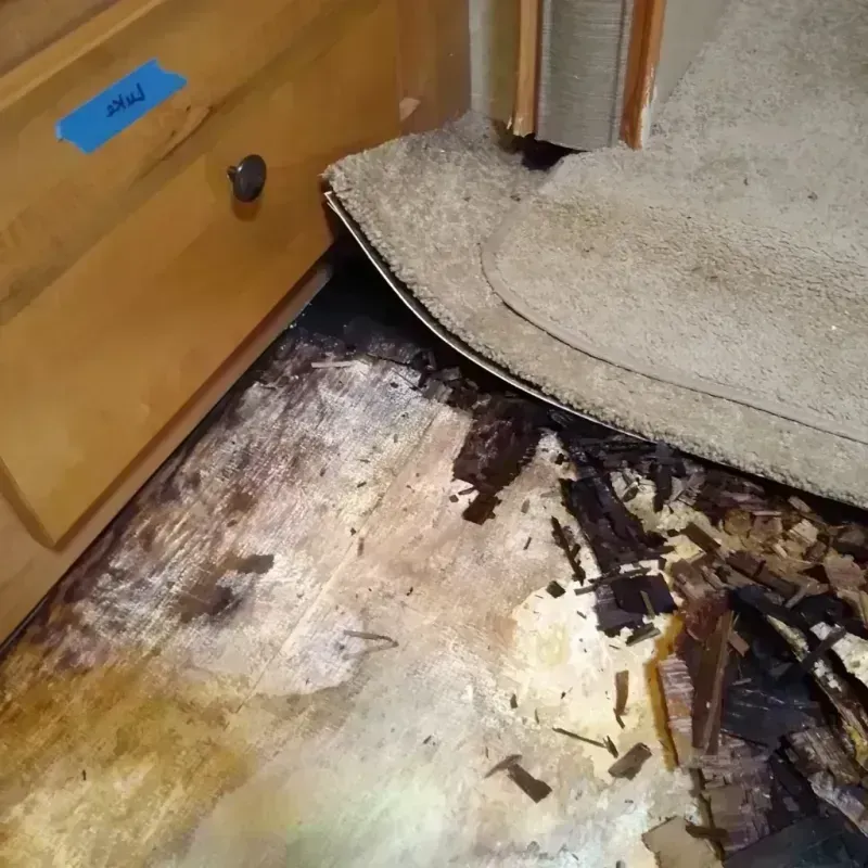 Best Wood Floor Water Damage Service in Sandy Springs, GA